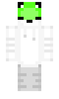 odebralski minecraft skin