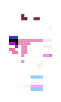 CodeTyper minecraft skin