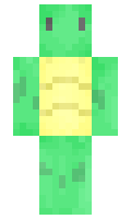 ShankingTurtle minecraft skin