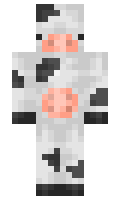 e53055b93d5fef minecraft skin