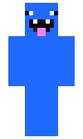 Ayrden minecraft skin