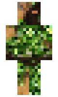 Tophic minecraft skin
