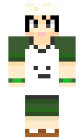 102 minecraft skin