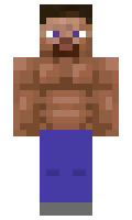 Infixes minecraft skin