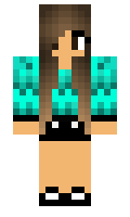 Roku minecraft skin