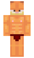 seriouscat minecraft skin