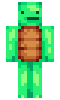 e5f8dd213be289 minecraft skin