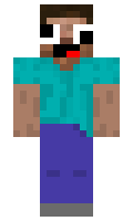 e625f9c6fa56fa minecraft skin