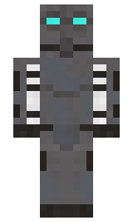 MP4 minecraft skin