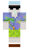 e655d390c3fd47 minecraft skin