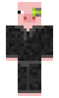 e6627978fec755 minecraft skin