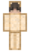 e67518123fde4f minecraft skin