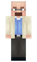 Vikipedio minecraft skin
