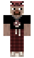 Redmetha minecraft skin