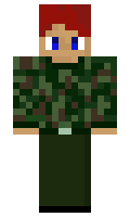 hopok minecraft skin