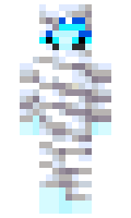 e6bb6df5fc6912 minecraft skin