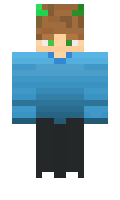 e6d01f192b8dfb minecraft skin