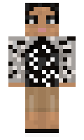 wertasd12 minecraft skin