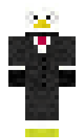 MadCatVer minecraft skin