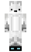 SkyT317 minecraft skin