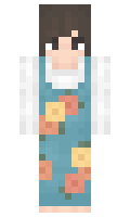 dani162 minecraft skin