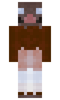 e74be30f8d26b9 minecraft skin