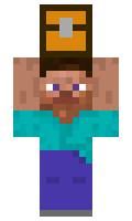 e79572008e5ef9 minecraft skin