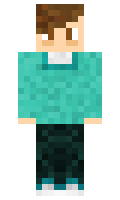 e7bf43d257d2c9 minecraft skin