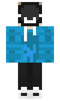 roboninjacat19 minecraft skin