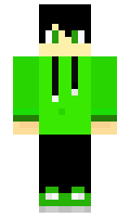 padam minecraft skin