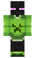 himawari6638 minecraft skin