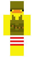 vpzs minecraft skin