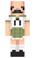 jq10 minecraft skin