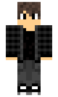 amcca minecraft skin