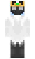 e824058f67f072 minecraft skin