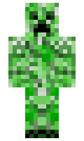 Rt minecraft skin