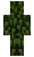 e8365bdfb1e4fc minecraft skin