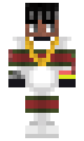 PotEffects minecraft skin