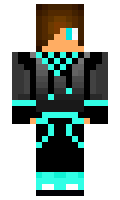 shockwave minecraft skin