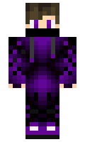 lthegamemasterl minecraft skin