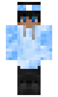 e848160efbf41a minecraft skin