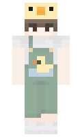 Rarbies minecraft skin