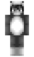 Rakun11 minecraft skin