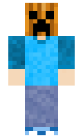 e8ccbb1af6547a minecraft skin