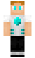 Avient minecraft skin