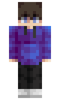 e8d9c01ceaed9b minecraft skin