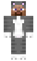 Steve minecraft skin