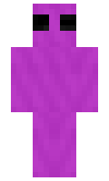 Pinx minecraft skin