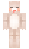 Bazuka minecraft skin