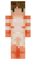 hasawii minecraft skin